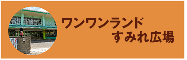 すみれ幼稚園